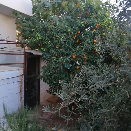 Apartament Ruya Daire *